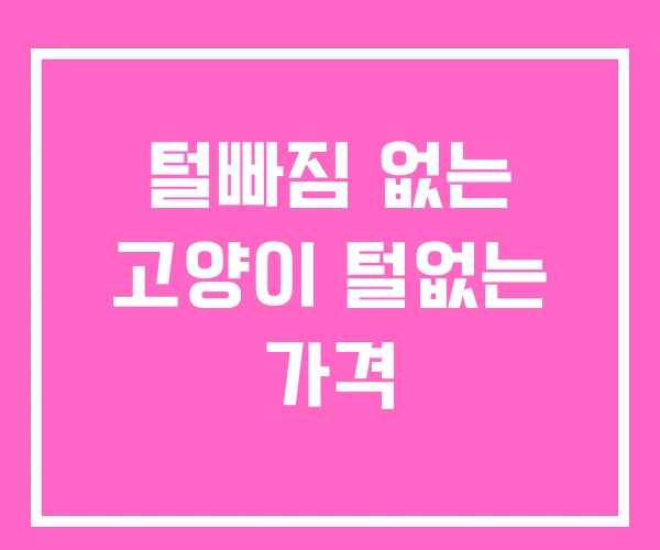 털빠짐 없는 고양이 털없는 가격 털빠짐 없는 고양이 털없는 가격