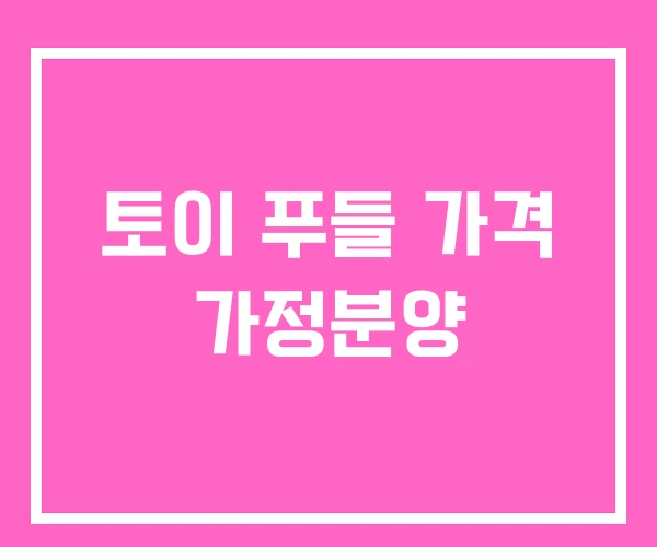 토이 푸들 가격 가정분양 토이 푸들 가격 가정분양