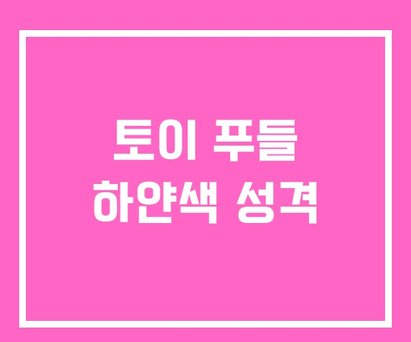 토이 푸들 하얀색 성격 토이 푸들 하얀색 성격