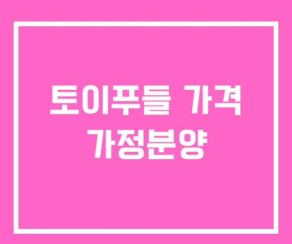 토이푸들 가격 가정분양 토이푸들 가격 가정분양