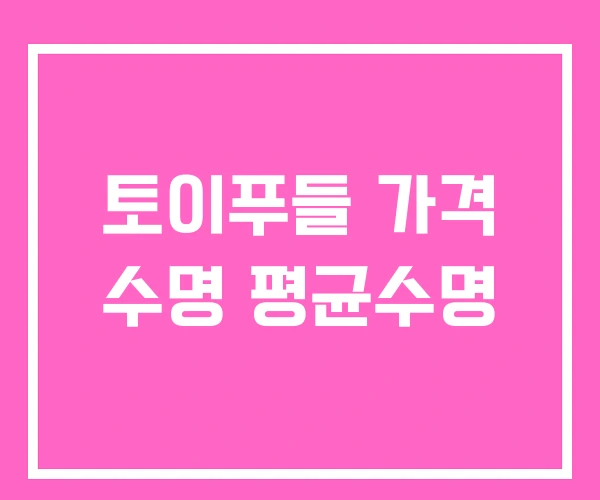 토이푸들 가격 수명 평균수명 토이푸들 가격 수명 평균수명