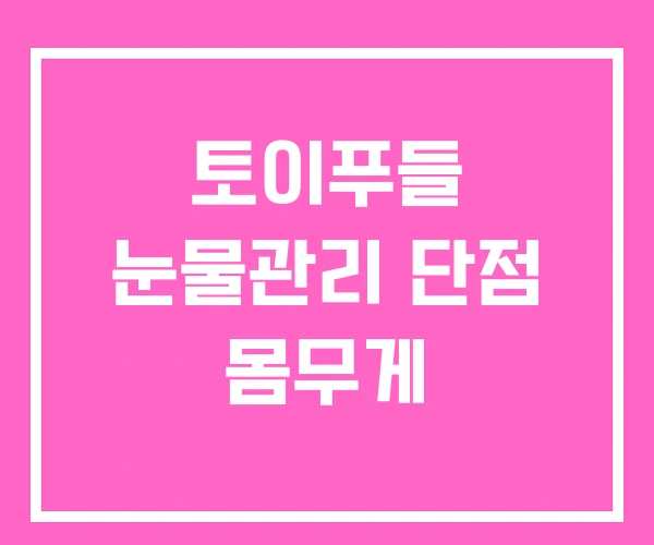 토이푸들 눈물관리 단점 몸무게