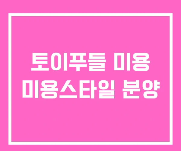 토이푸들 미용 미용스타일 분양 토이푸들 미용 미용스타일 분양