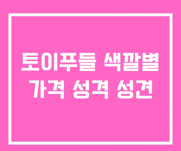 토이푸들 색깔별 가격 성격 성견 토이푸들 색깔별 가격 성격 성견