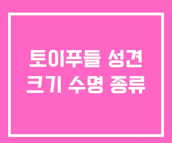 토이푸들 성견 크기 수명 종류