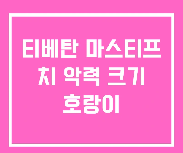 티베탄 마스티프 치 악력 크기 호랑이