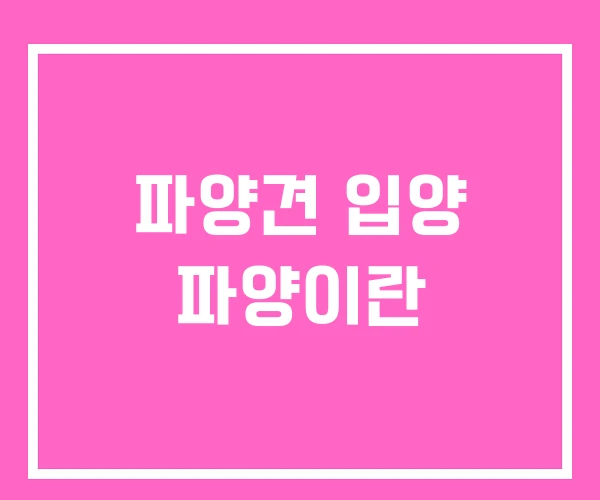 파양견 입양 파양이란