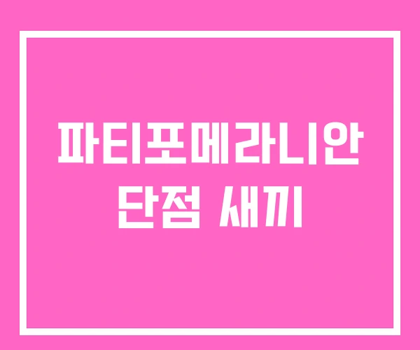 파티포메라니안 단점 새끼