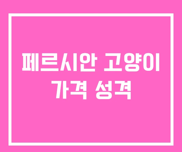 페르시안 고양이 가격 성격