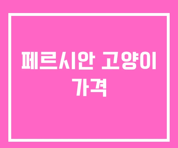 페르시안 고양이 가격 페르시안 고양이 가격