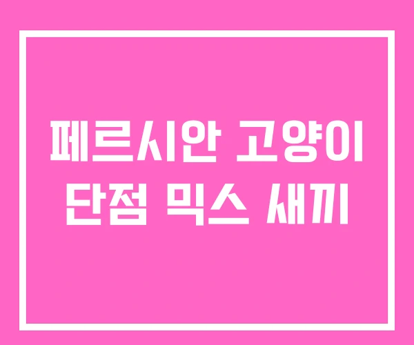 페르시안 고양이 단점 믹스 새끼