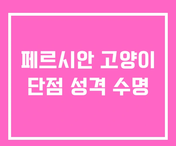 페르시안 고양이 단점 성격 수명 페르시안 고양이 단점 성격 수명