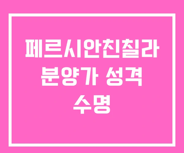 페르시안친칠라 분양가 성격 수명