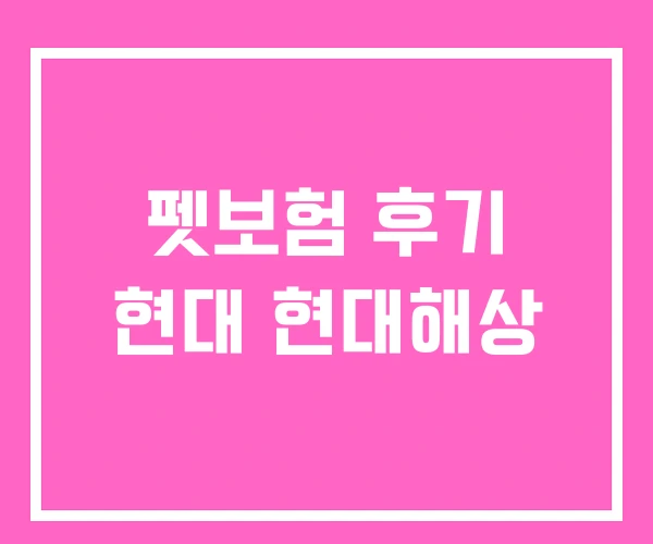 펫보험 후기 현대 현대해상