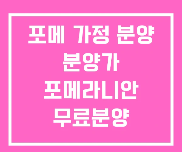 포메 가정 분양 분양가 포메라니안 무료분양