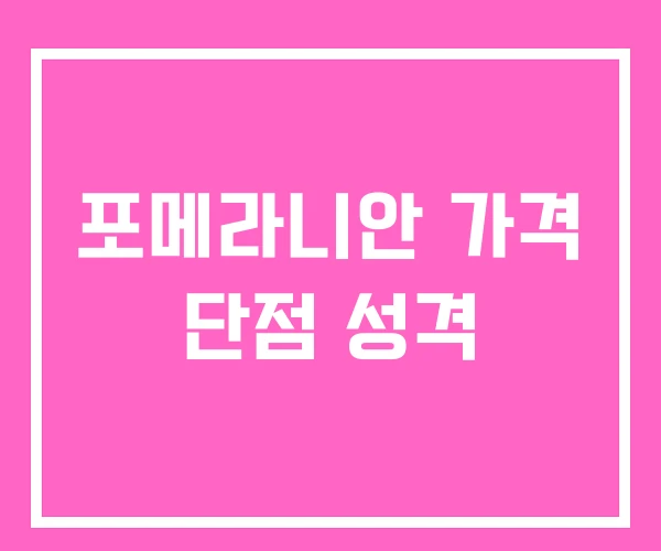 포메라니안 가격 단점 성격