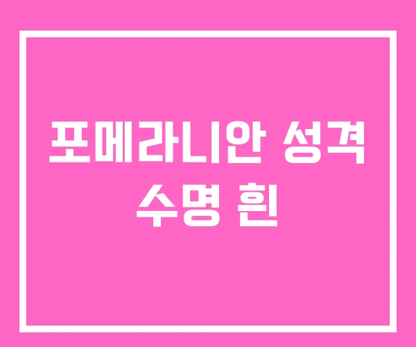 포메라니안 성격 수명 흰