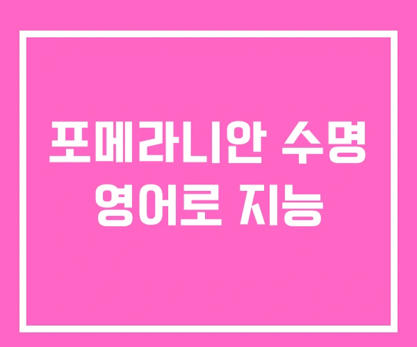 포메라니안 수명 영어로 지능