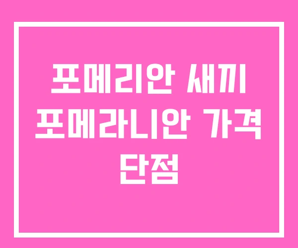 포메리안 새끼 포메라니안 가격 단점