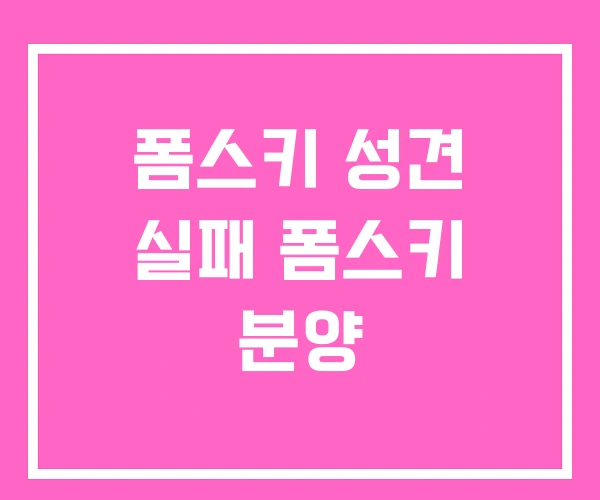 폼스키 성견 실패 폼스키 분양