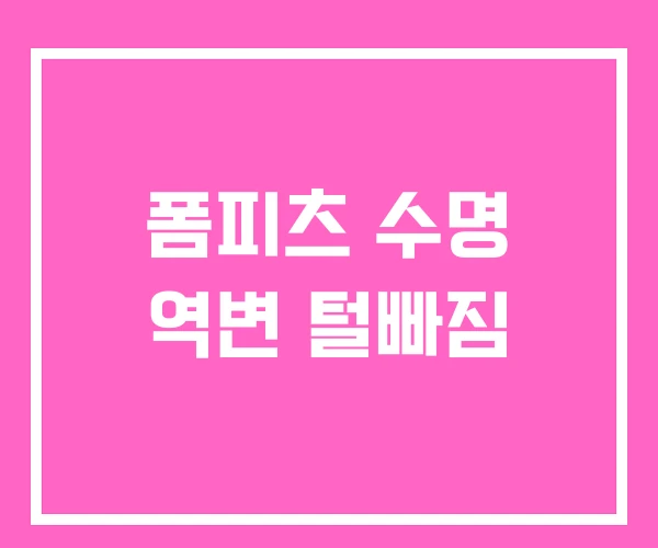 폼피츠 수명 역변 털빠짐