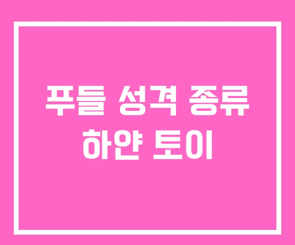 푸들 성격 종류 하얀 토이