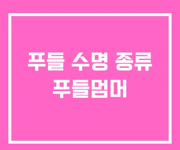 푸들 수명 종류 푸들멈머