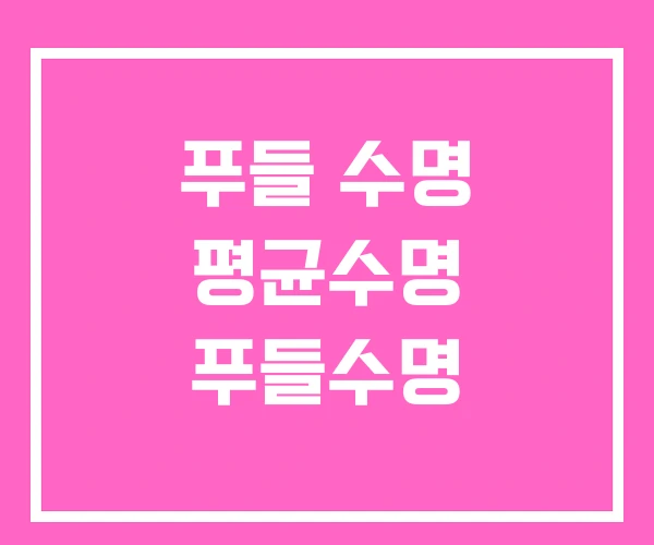 푸들 수명 평균수명 푸들수명 푸들 수명 평균수명 푸들수명