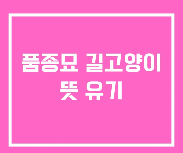 품종묘 길고양이 뜻 유기