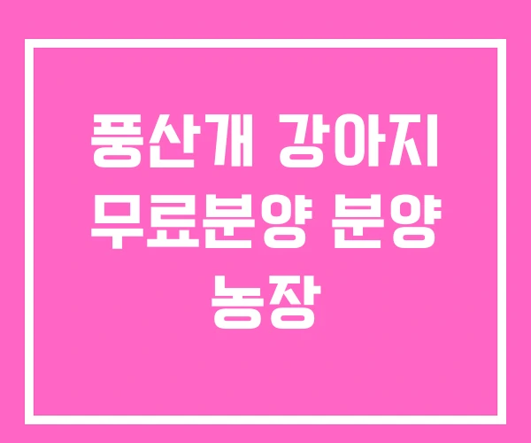 풍산개 강아지 무료분양 분양 농장