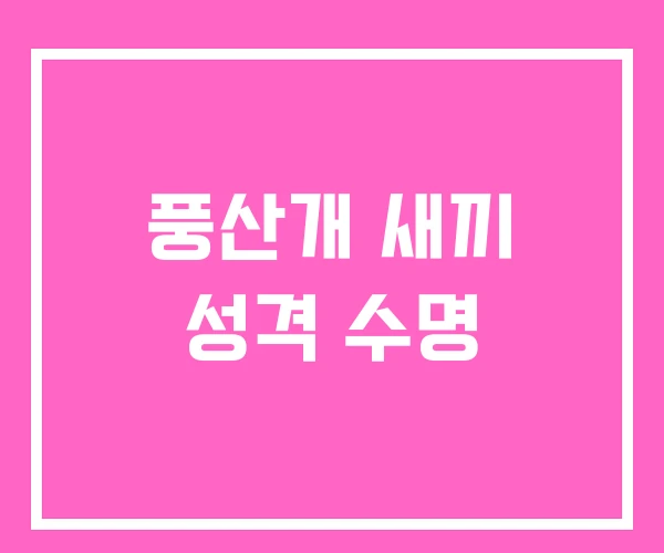 풍산개 새끼 성격 수명 풍산개 새끼 성격 수명