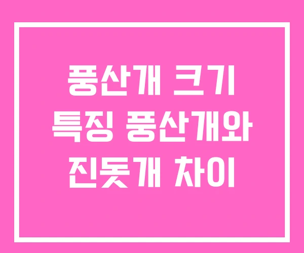 풍산개 크기 특징 풍산개와 진돗개 차이