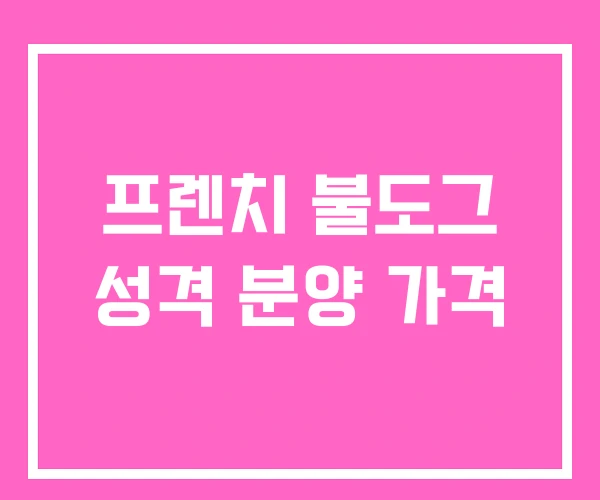 프렌치 불도그 성격 분양 가격