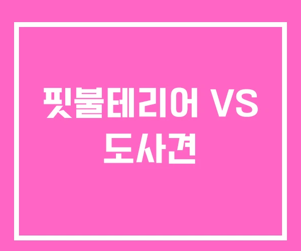 핏불테리어 VS 도사견 핏불테리어 VS 도사견