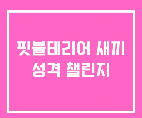 핏불테리어 새끼 성격 챌린지