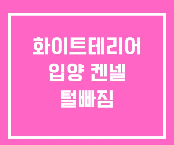 화이트테리어 입양 켄넬 털빠짐