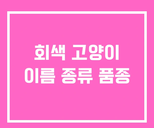 회색 고양이 이름 종류 품종