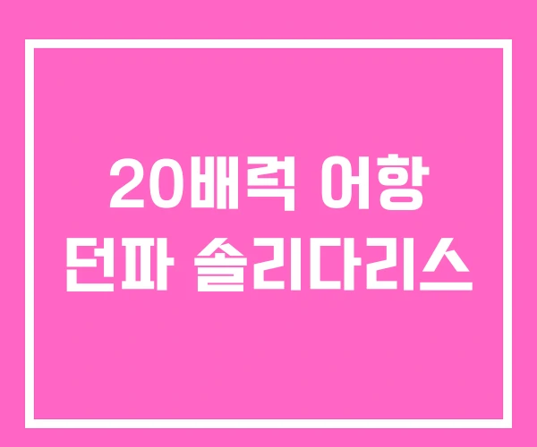 20배럭 어항 던파 솔리다리스