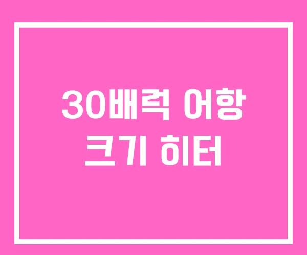 30배럭 어항 크기 히터