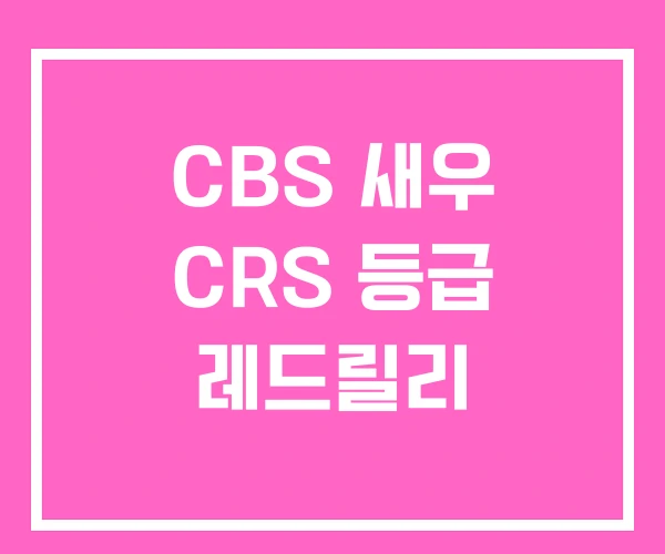 CBS 새우 CRS 등급 레드릴리