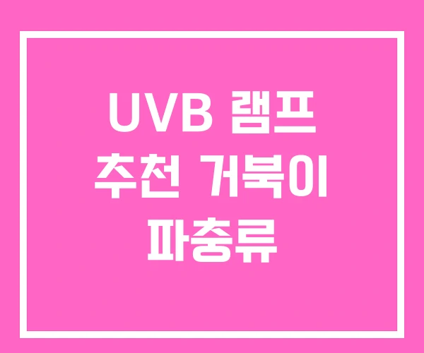 UVB 램프 추천 거북이 파충류