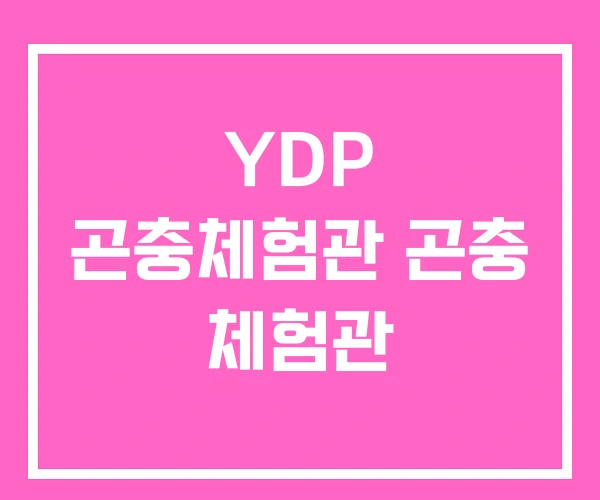 YDP 곤충체험관 곤충 체험관 YDP 곤충체험관 곤충 체험관