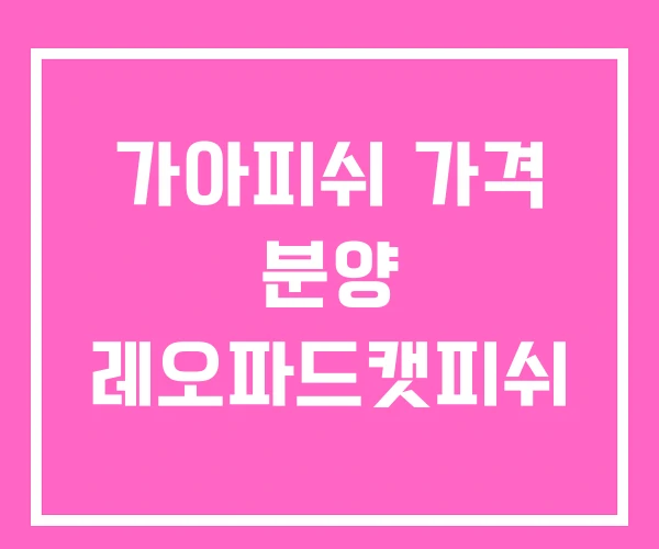 가아피쉬 가격 분양 레오파드캣피쉬 가아피쉬 가격 분양 레오파드캣피쉬