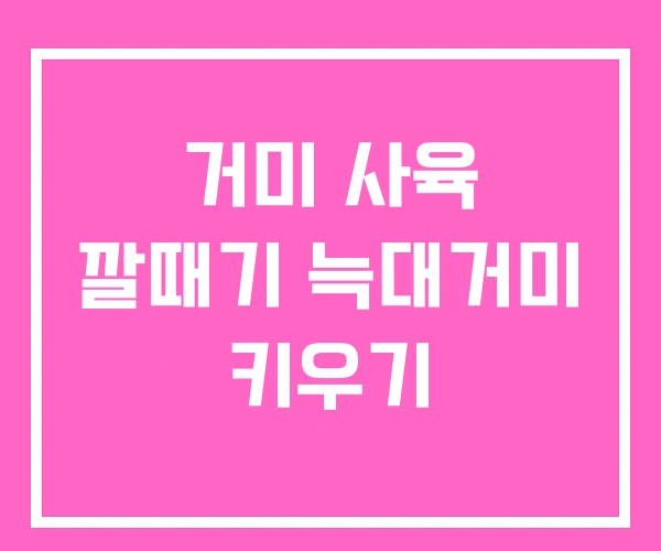 거미 사육 깔때기 늑대거미 키우기