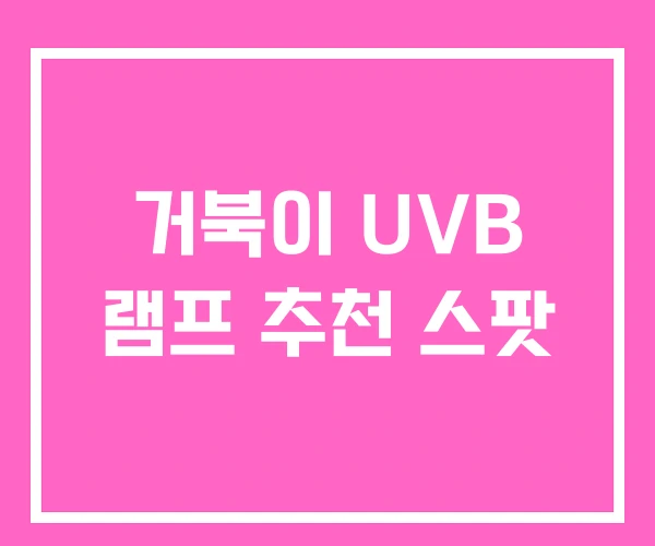 거북이 UVB 램프 추천 스팟