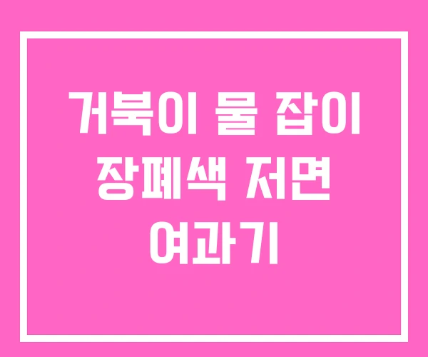 거북이 물 잡이 장폐색 저면 여과기