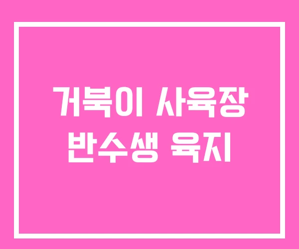 거북이 사육장 반수생 육지