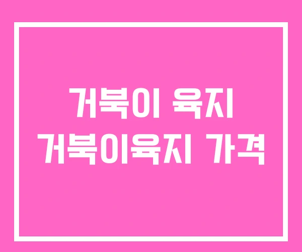 거북이 육지 거북이육지 가격