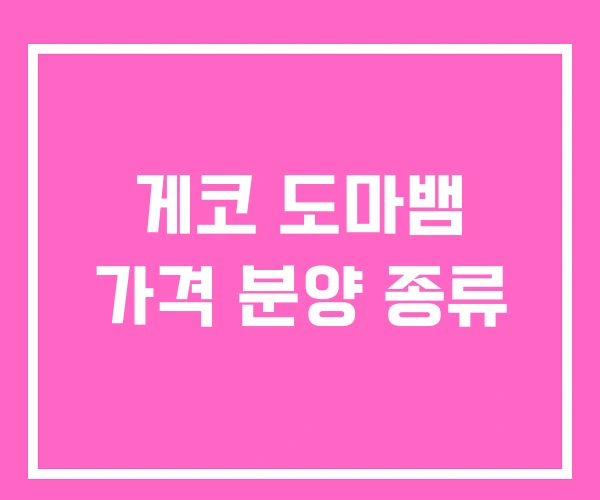 게코 도마뱀 가격 분양 종류 게코 도마뱀 가격 분양 종류