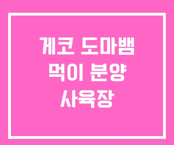 게코 도마뱀 먹이 분양 사육장